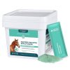 Nutramount Electrolyte Powder for Horses – 1400 g