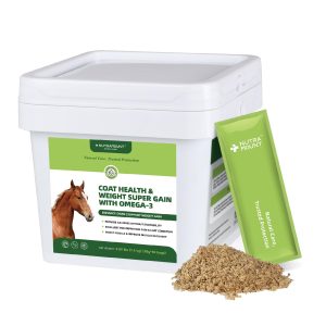 Horse Nutrition